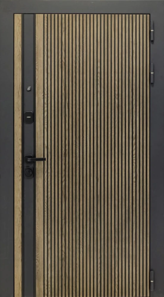 Входная дверь ДвериПРО Rosna ФЛ-256 (10мм, бетон снежный) DPRO200151 внешняя сторона